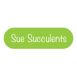 sue-succulents.jpg